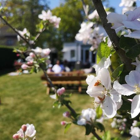 B&B De Koffietuin Beekbergen Exteriér fotografie