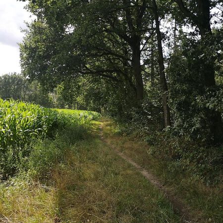 B&B De Koffietuin Beekbergen Exteriér fotografie