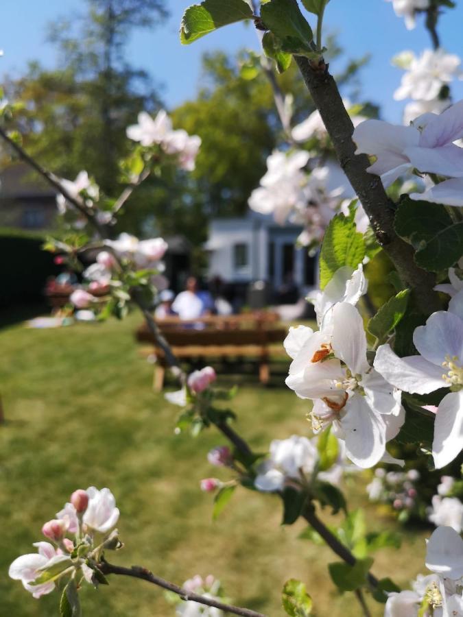 B&B De Koffietuin Beekbergen Exteriér fotografie